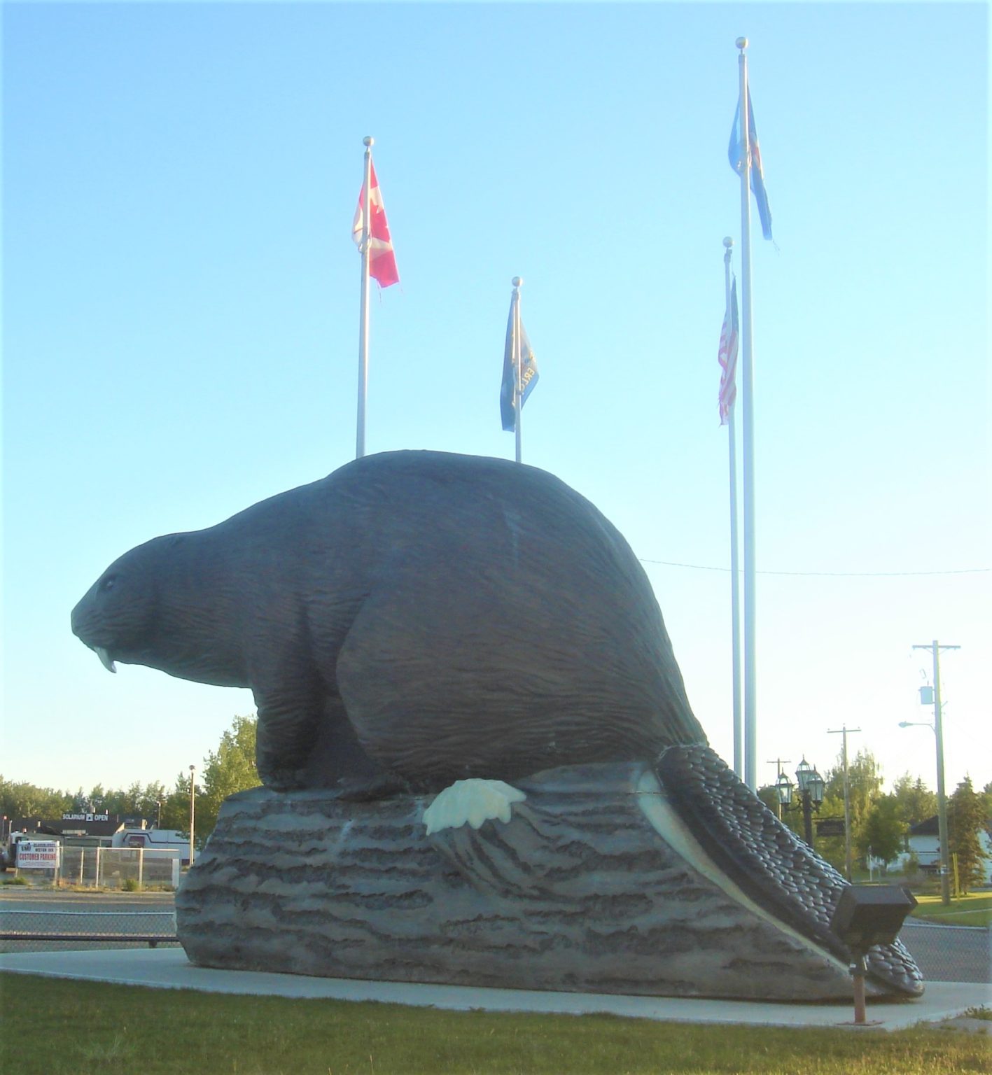 BEST Family Dentist Beaverlodge, AB Near You TopRated Cosmetic